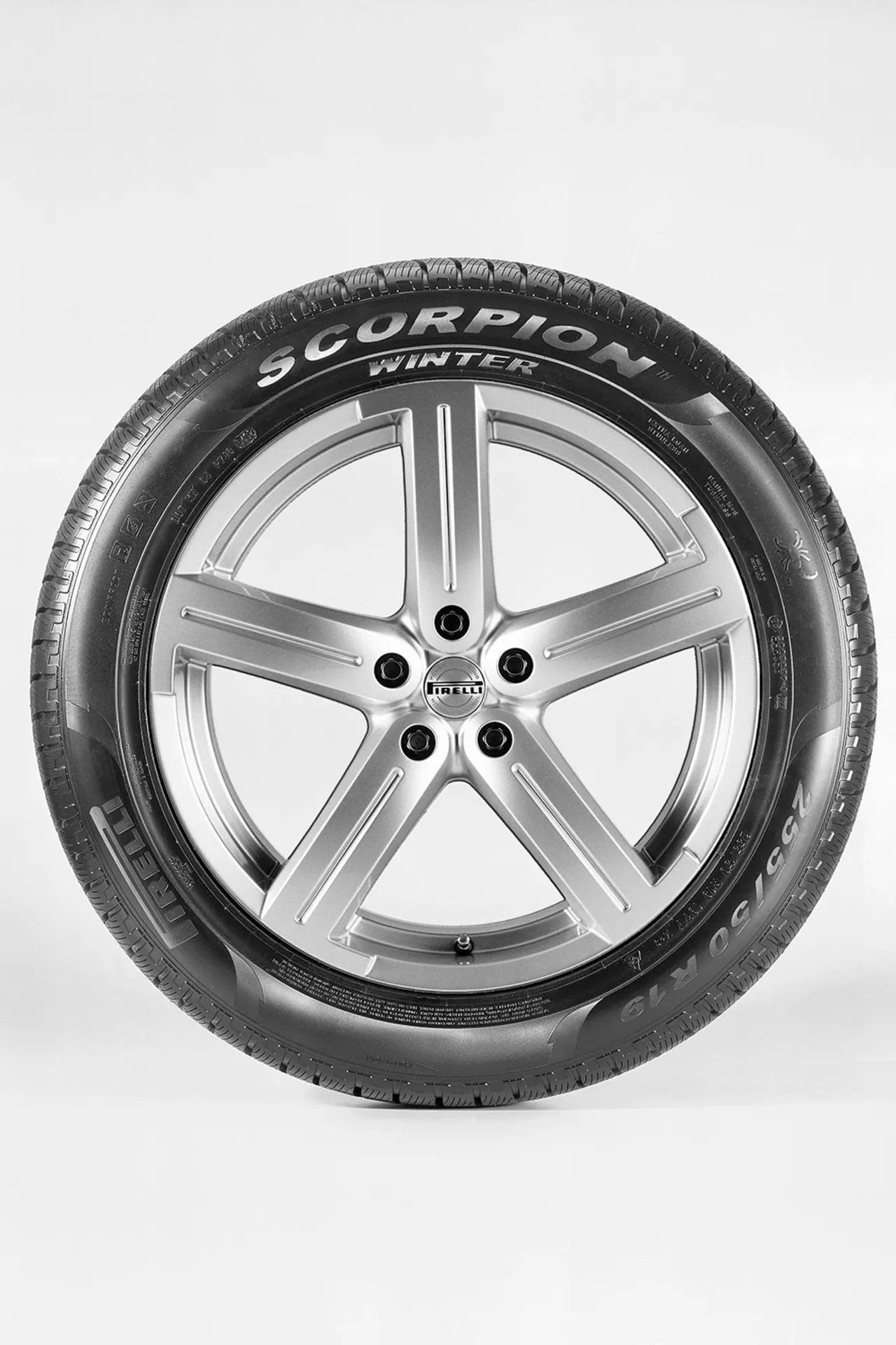 Pirelli Scorpion Winter Afbeelding