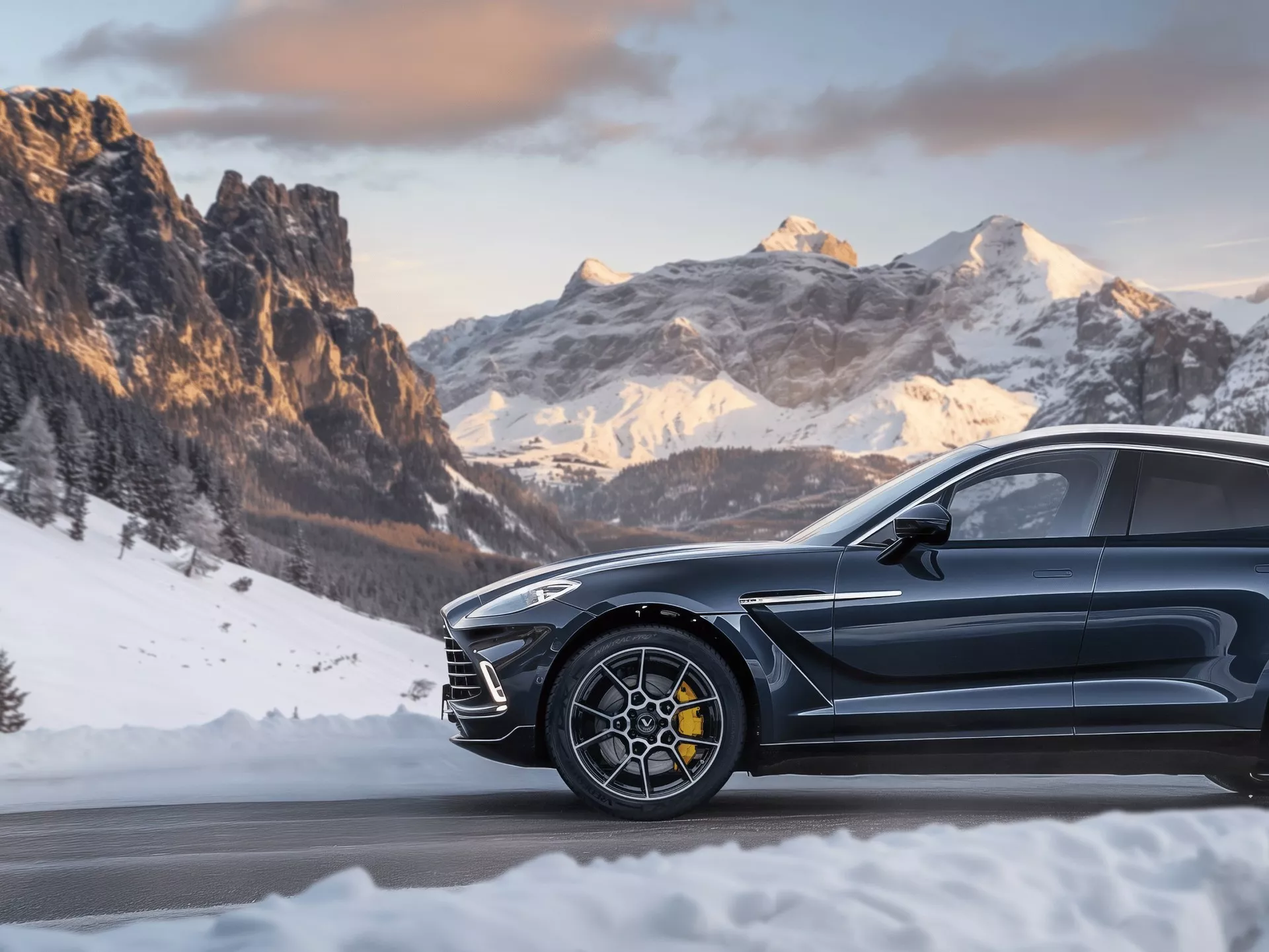 Vredestein Wintrac Pro+ Afbeelding