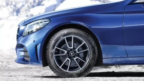 Vredestein Wintrac Miniatuur 4500x2531